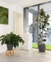 auric Hörcenter Kaiserslautern Mitte Bild 11