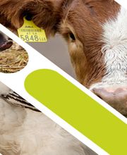 Pienso ecológico Bifeedoo imagen 2