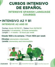 cursosintensivosdeespanol.jpg