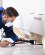 Nitro Pest Solutions, LLC image 5