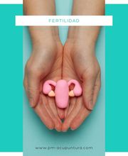 pm-acupuntura imagen 13