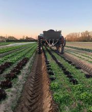 LA FERME DES SABLES image 2