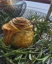 WhatsApp Bild 2025-08-08 um 17.43.28_a77f622c.jpg