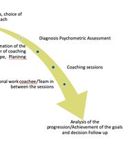 PIMAN - Assess, Build and Lead Talents - PI Management Bild 6