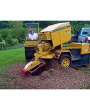 Clay's Brush Stump & Tree Removal LLC. image 4