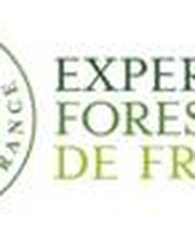 Cabinet MONTAGNE Expert Forestier image 2