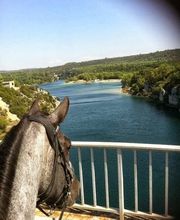 RANCH DU PUITS DE RIQUIER : gîte d'étape cabanes tipis Var Verdon Relais équestre éco-lieu image 9