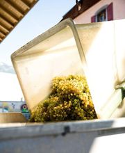 Les Celliers du Chablais SA Bild 1