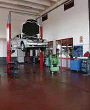 Gallery Cliente