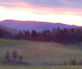 Haus Edelweiss Bild 1