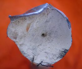 BIMAG AG Grosshöchstetten Bild 12