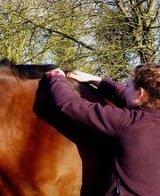 Loncke Clothilde image 5