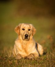 La Pouponnerie image 17