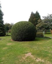 Arbor & Paysage image 9