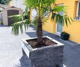 Zemp Gartenbau Bild 4