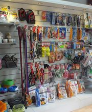 Doctoras Vet Clínica Veterinaria imagen 2