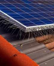 Thomas Veh - Schädlingsbekämpfung Bild 2