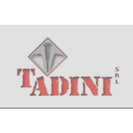 Tadini Scavi e Demolizioni logo