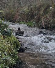 Esencias del Molino imagen 5