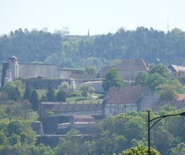 ETUDE COMPAGNE ANDRE image 9