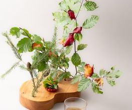 Roh und Nobel gmbh Bild 9