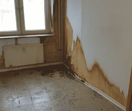 Tatortreinigung-365 Bild 3