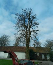 Nature Domestiquee image 1