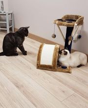 Pattenrond & Cie image 7