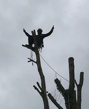 Wintrestin image 12