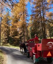 Clalüna-Sils Kutschenfahrten Bild 11