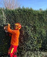 Hohmeier e.U. Bild 1