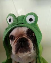 Le Salon des Stars image 8