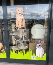 Cap Animal Belley image 4