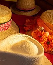 Fichtner Fotodesign Bild 5