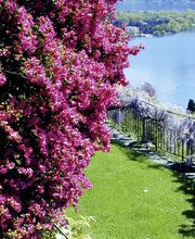 Casa Berno Panorama Resort Bild 11