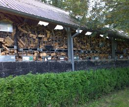 Brennholz-Marl.de Bild 6