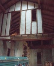 Hirukia image 6