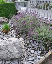 Bruno Winet, Privatgärtner Bild 3