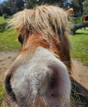 Ranch Villata image 1