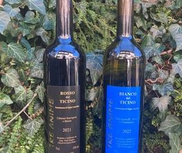 Cantina Böscioro Bild 2