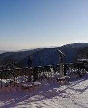 Fontaneblick am AKZENT Berghotel Rosstrappe