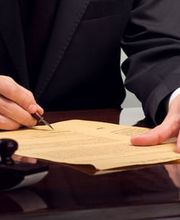 Thierry de Mestral Bild 4