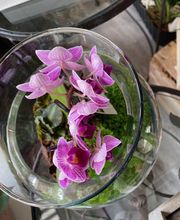 Créastyl'Flor image 14