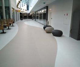 307071910-1-msDsjJ45RJ1779385669581.jpeg