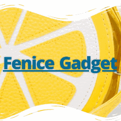 Fenice Gadget logo