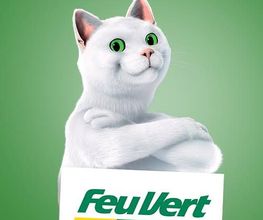 Feu Vert image 2