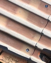 Lenoir Steeve image 10