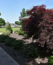 Henley Place Residential Living image 19