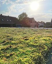 Dachbau Ringo Kieburg Bild 8