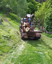 🌲 Segheria Lombardi Sagl 🌲 Bild 1